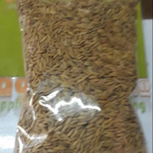pakan gabah 500 gr padi isi beras makanan ayam burung