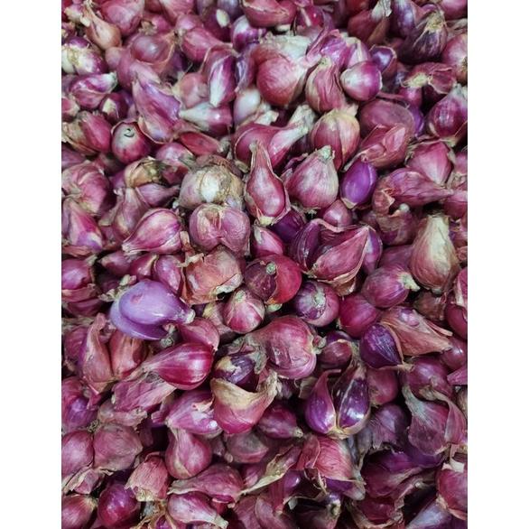 

Ready BAWANG BREBES UKURAN SEDANG 1KG