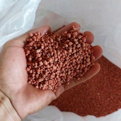 Pupuk Nutrisi Npk Phonska Merah (25 Gram)