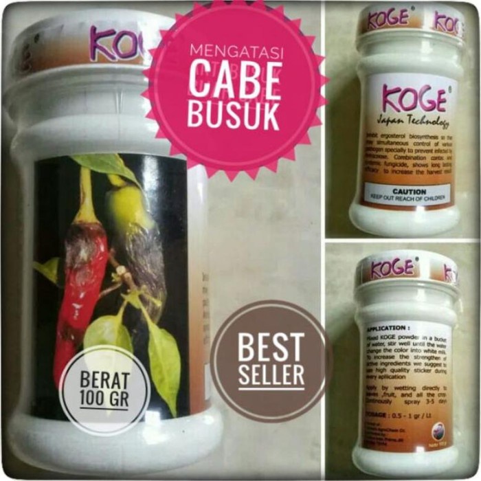 Obat Pertanian cabe,Fungisida cabai, Obat cabe busuk, Pupuk tanaman