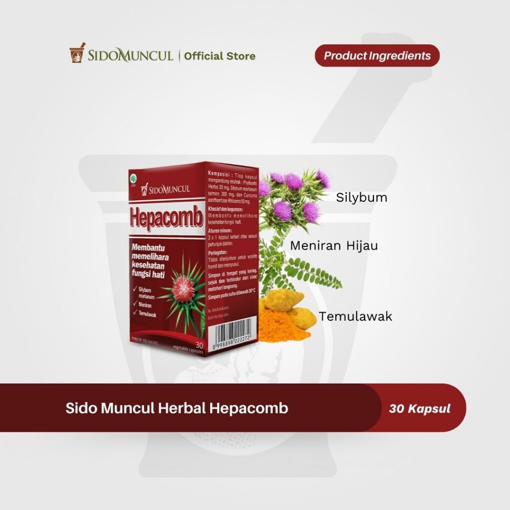 Sido Muncul Natural Herbal Hepacomb 30 Kapsul - Membantu Memelihara Kesehatan Fungsi Hati-2