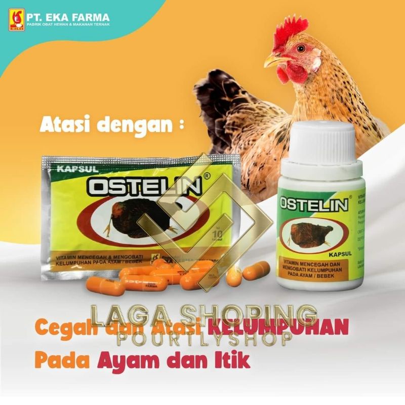 2 SASET OSTELIN 20 BUTIR OBAT AYAM LUMPUH LEMAS VITAMIN TULANG KAKI SAYAP BURUNG MERPATI KALEK CALCI