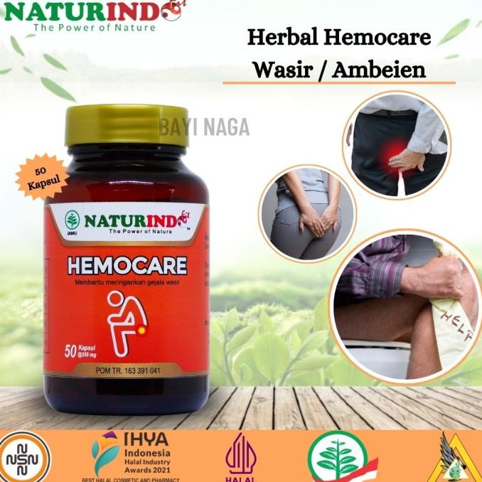 

Hemocare - Obat Herbal Atasi Wasir