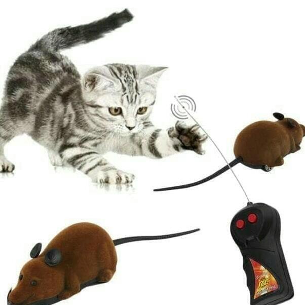 Mainan Kucing Persia Peaknose Dome Kampung Rc Dome Anjing Tikus Remote Control