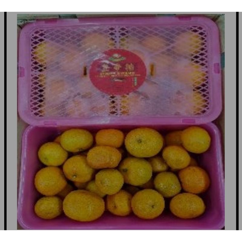 

giftpack jeruk shantang 1x6 Imlek 2024
