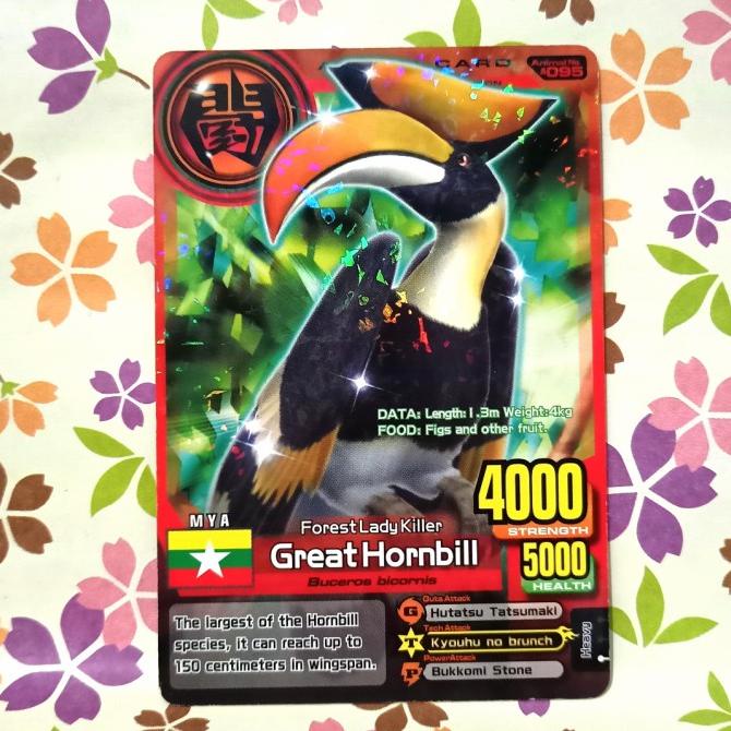 Animal kaiser normal great hornbill evo 2