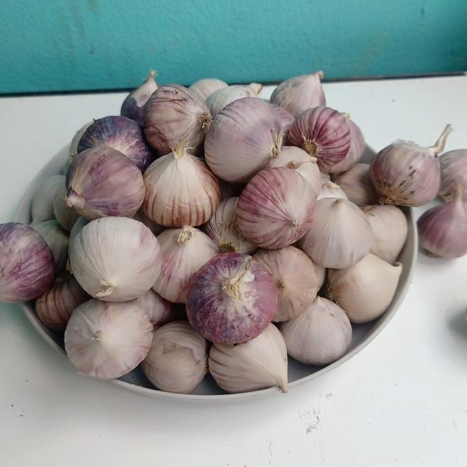 

Bawang Putih Tunggal / Lanang Import 500Gram Dijamin Fresh!!!