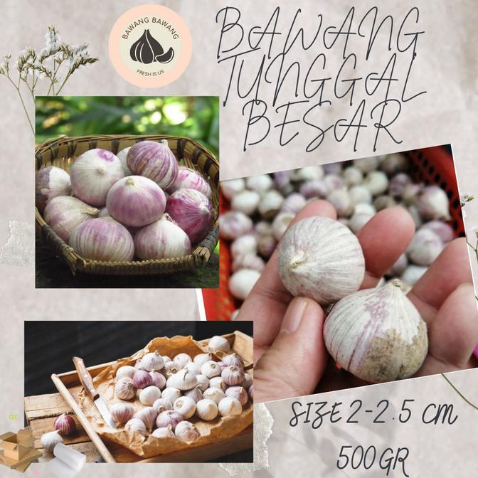 

Bawang Putih Tunggal Lanang Besar 500G