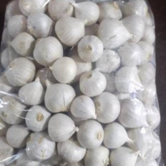 

Bawang Putih Tunggal/Bawang Putih Lanang Kering Import 250 gr