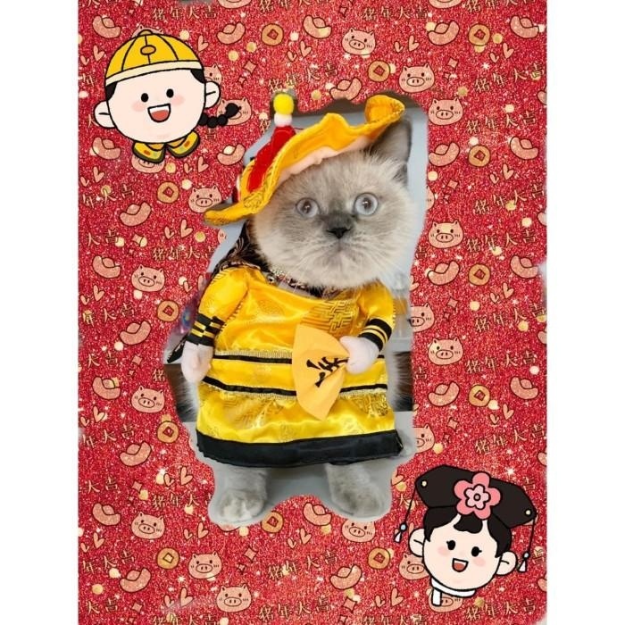 BAJU HEWAN EMPEROR KING ANJING JANTAN TYPE C /BAJU IMLEK ANJING KUCING