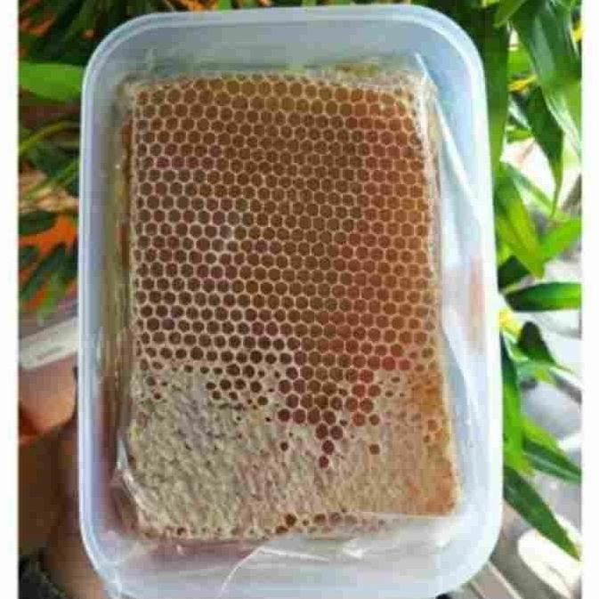 

Madu Sarang Honey Comb Kemasan 250 Gram A22S