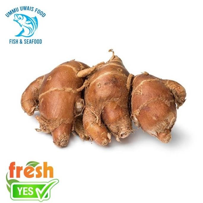 

Termurah Kencur Rempah - 250 Gram