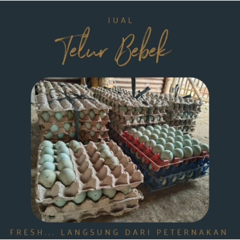 

TelurBebekOmega||Mentah||Freshlangsungdarikandang