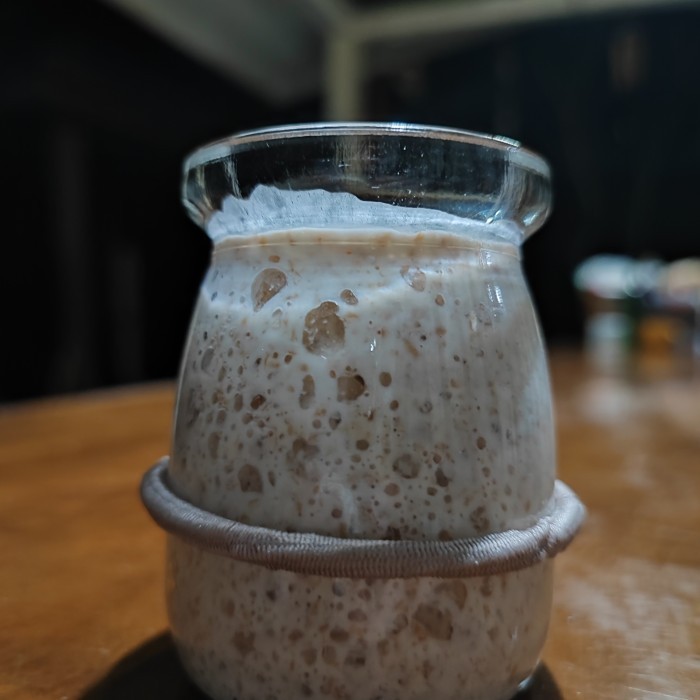 

PROMO SOURDOUGH GANDUM STARTER / RAGI ALAMI / WHEAT SOURDOUGH STARTER