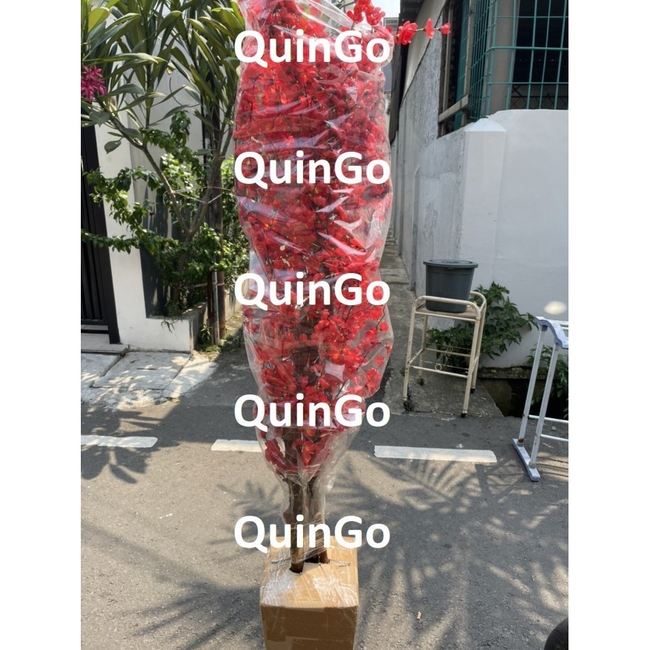 

SALE NEWW !!! Pohon Imlek Sakura Sincia Meihua Angpao Tahun Baru