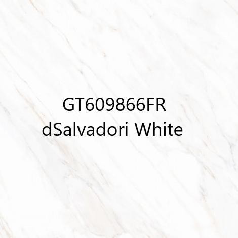 Roman Granit Lantai Gt609866Fr Dsalvadori White 60X60 Kw 1