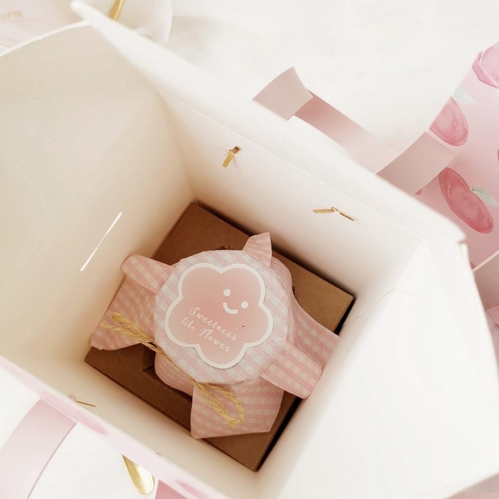 

Terlaris Tas Box Bag Botol Jar Permen Paper Bag Hampers Valentine Kado Pb 14S Big Sale