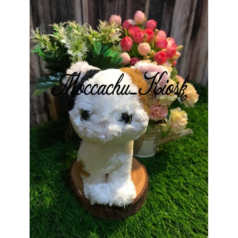 SUNLEMON DOLLS KITTENS / BONEKA ANAK KUCING KECIL & LUCU