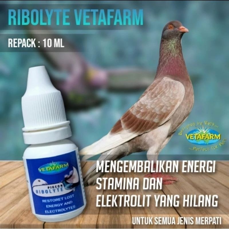 ADY78 PIGEON REBOLYTE VETAFARM 10 ML REBOLYTE PENAMBAH PERFORMA BURUNG MERPATI