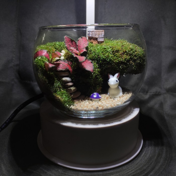 

Ready Closed Terrarium home town Type 2 kado unik- mini size Hampers