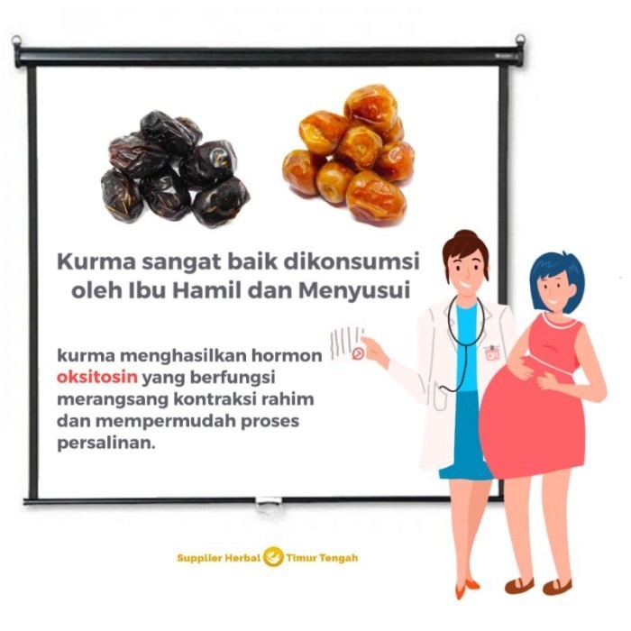 

Kurma - Kurma Ajwa 1 Kg Kurma Nabi Asli Madinah