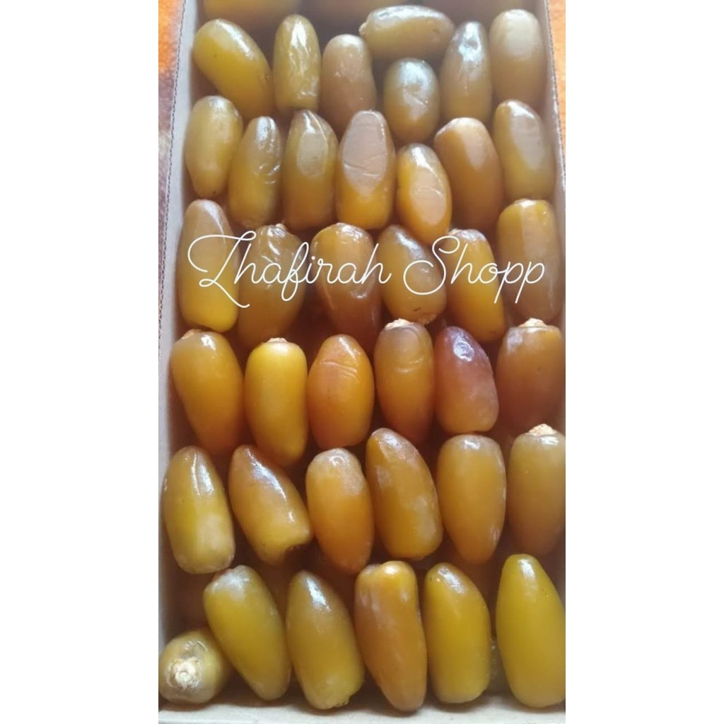 

Kurma - 1Kg Kurma Ruthob Libya Kurma Terbaik Rasa Manis, Segar, Ukuran Besar