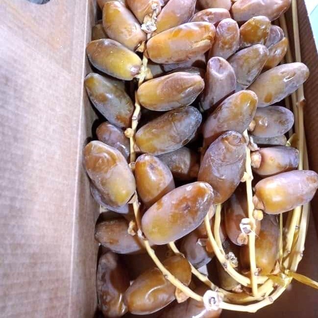 

Kurma - Kurma -Kurma Tunisia Palm Fruit 1 Kg -Tunisia Gagang -Tunisia Tangkai