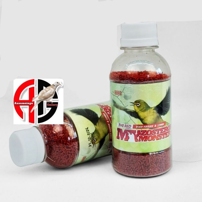 voer red zomo voer pleci , voer harian dan lomba burung pleci