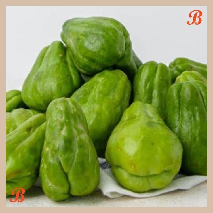 

| HOF | LABU SIAM 450 - 500 GR ( FRESH CHAYOTE )