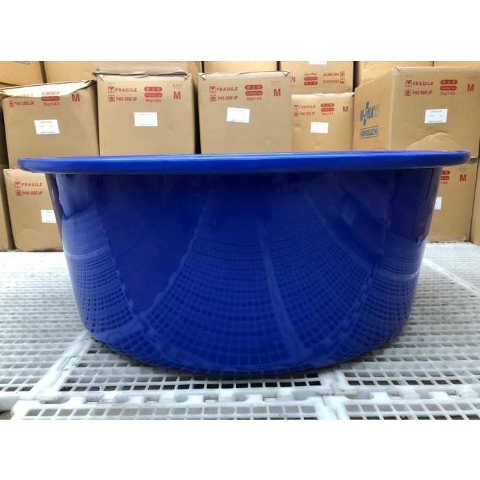 Bak biru bulat koi