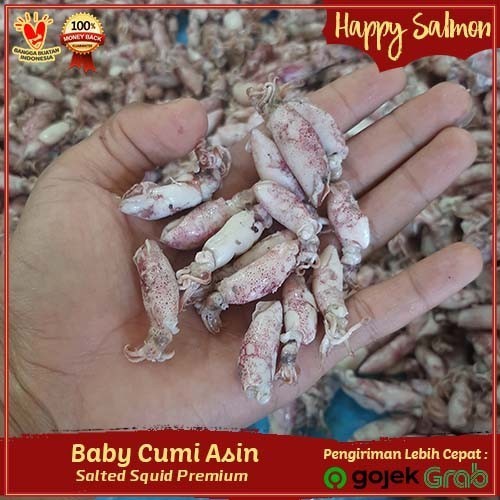 

Promo Baby / Cumi Asin Baby 70% Kering Premium Untuk Sambal Cumi 1 Kg