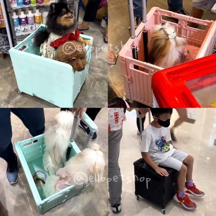 BOX TROLI 65L / TROLI ANJING BESAR 65 / TROLI LIPAT BARANG /PET TROLI