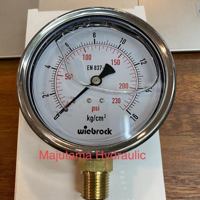 Pressure Gauge 4 Inch 0-16 Bar Stainless