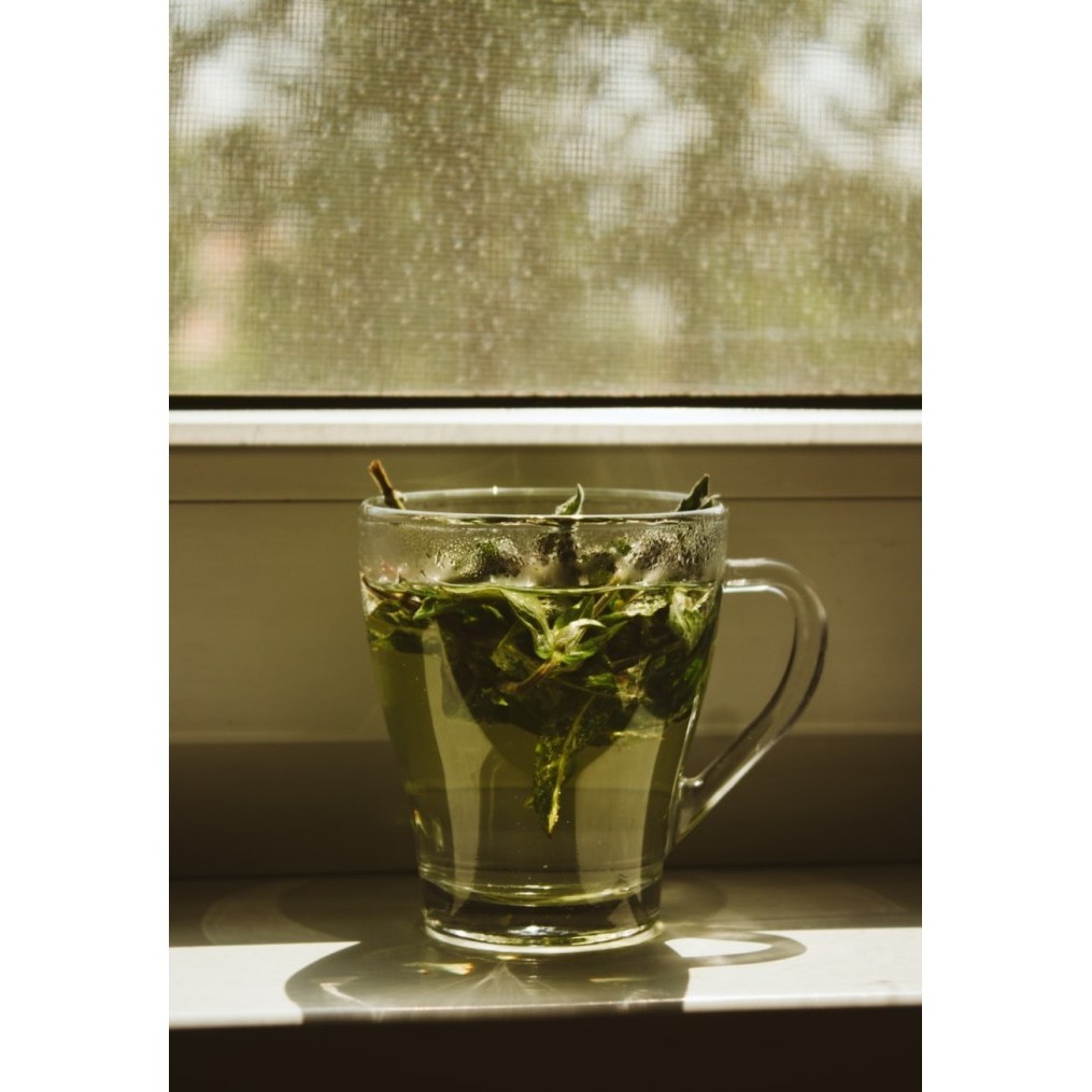 

Ersya - Teh Hijau Premium Organik Organic Daily Green Tea Leaves