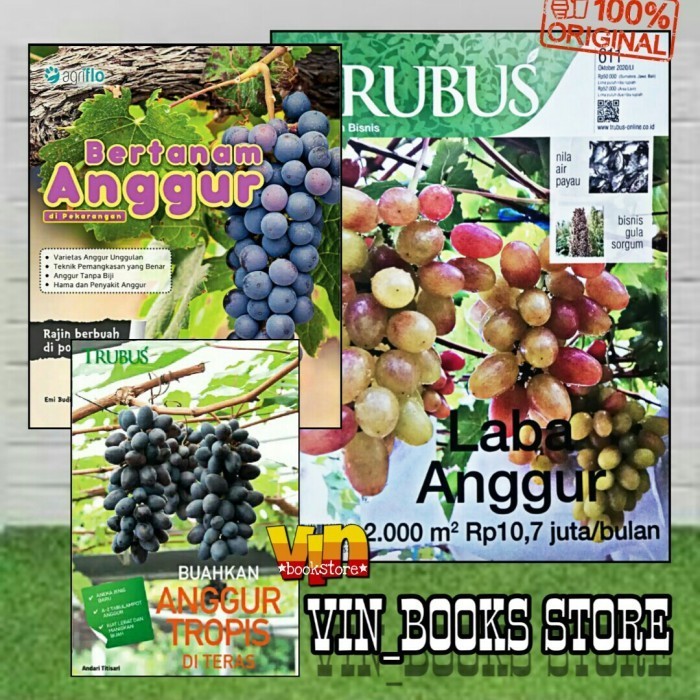 

BUKU PAKET DAN 1 MAJALAH TENTANG ANGGUR
