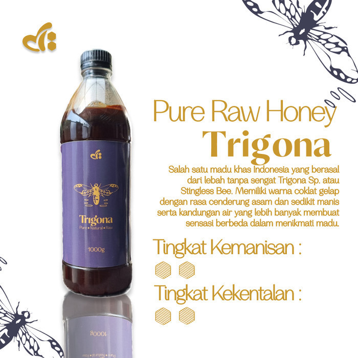 

Raw Honey by dBee - TRIGONA 1000gr - Madu Mentah 100% Murni Klanceng