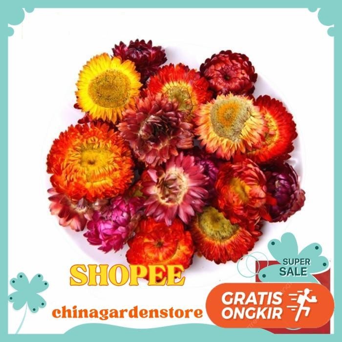 

COLORFUL CHRYSANTEMUM TEA / STRAW FLOWER TEA 500 GRAM DIJAMIN GRATIS ONGKIR