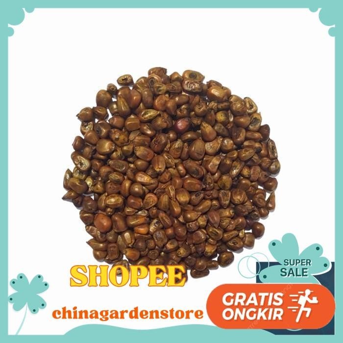 

KOREAN ROASTED CORN TEA / OKSUSU CHA / TEH JAGUNG PANGGANG 100 GRAM DIJAMIN GRATIS ONGKIR