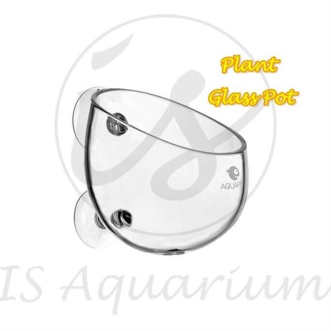 New - Aquapro Plant Glass Pot Glasspot Glaspot - Aquascape Tools ,,