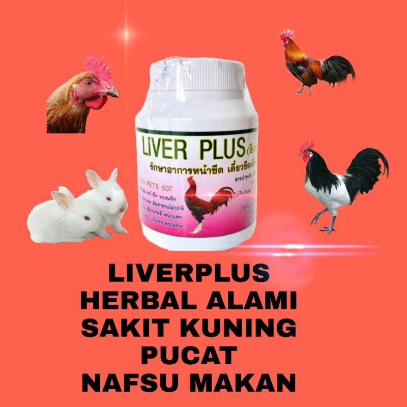 1 botol liver plus max liver ayam obat ayam sakit kuning pucat lesu tidak kuat berdiri impor bangkok