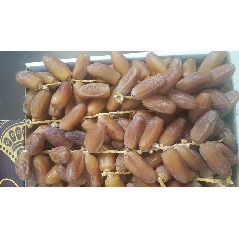 

POJ kurma palm fruit tunisia 500gr TERLARIS