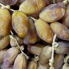 

POJ KURMA TUNSIA TANGKAI 1KG// palm tunis// oleh oleh haji dan umroh (2025) TERLARIS