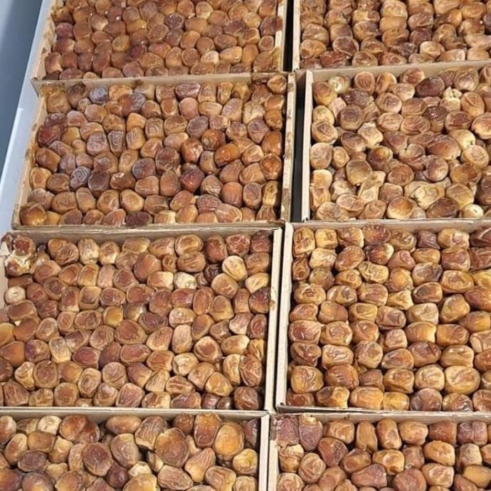 

Kurma-Kurma Sukari 3 Kg Premium-Kurma Sukari Al Qassim Original-Sukari TMS