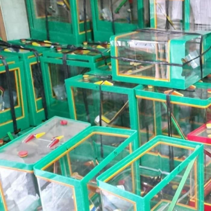 Aquarium Es Kelapa Kecil Acrylic Es Buah + Gayung Lion Star Lionstar