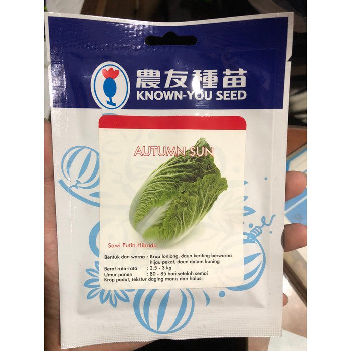 

Ready oke] Sawi Putih Autumn Sun Known You Seed 5 Gram