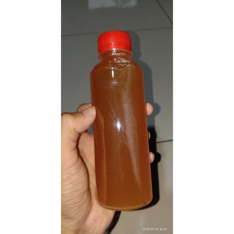 

Ready Madu Trigona Klanceng Liar Asli Murni 100% Isi 100 Mili Murah