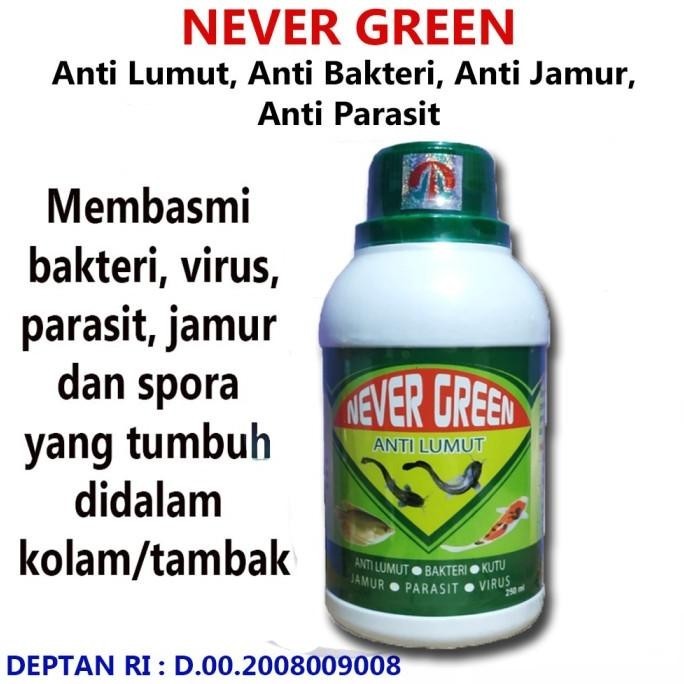 Anti Lumut Never Green Obat Pembasmi Lumut Kolam Ikan