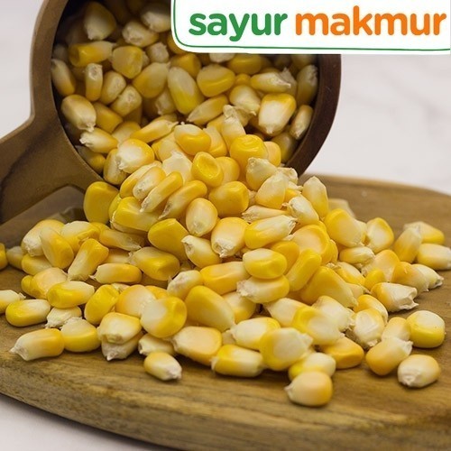 

Jagung Manis Pipil Konvensional 500 gram Sayurmakmur