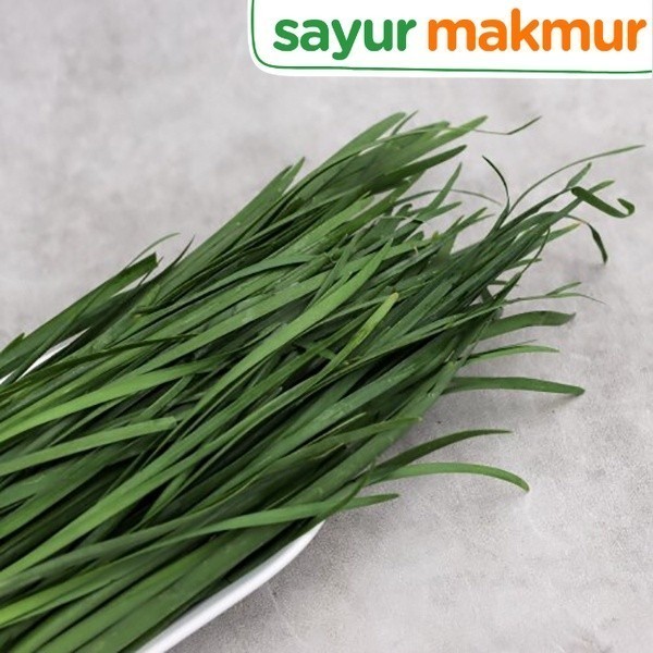 

Kucai Konvensional 100 gram Sayurmakmur