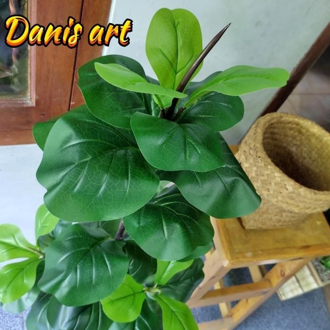 Pohon Ketapang Biola Palsu/ Pohon Ketapang Artificial/Pohon Karet Kebo